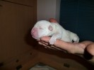 Boy 16 Minutes Old